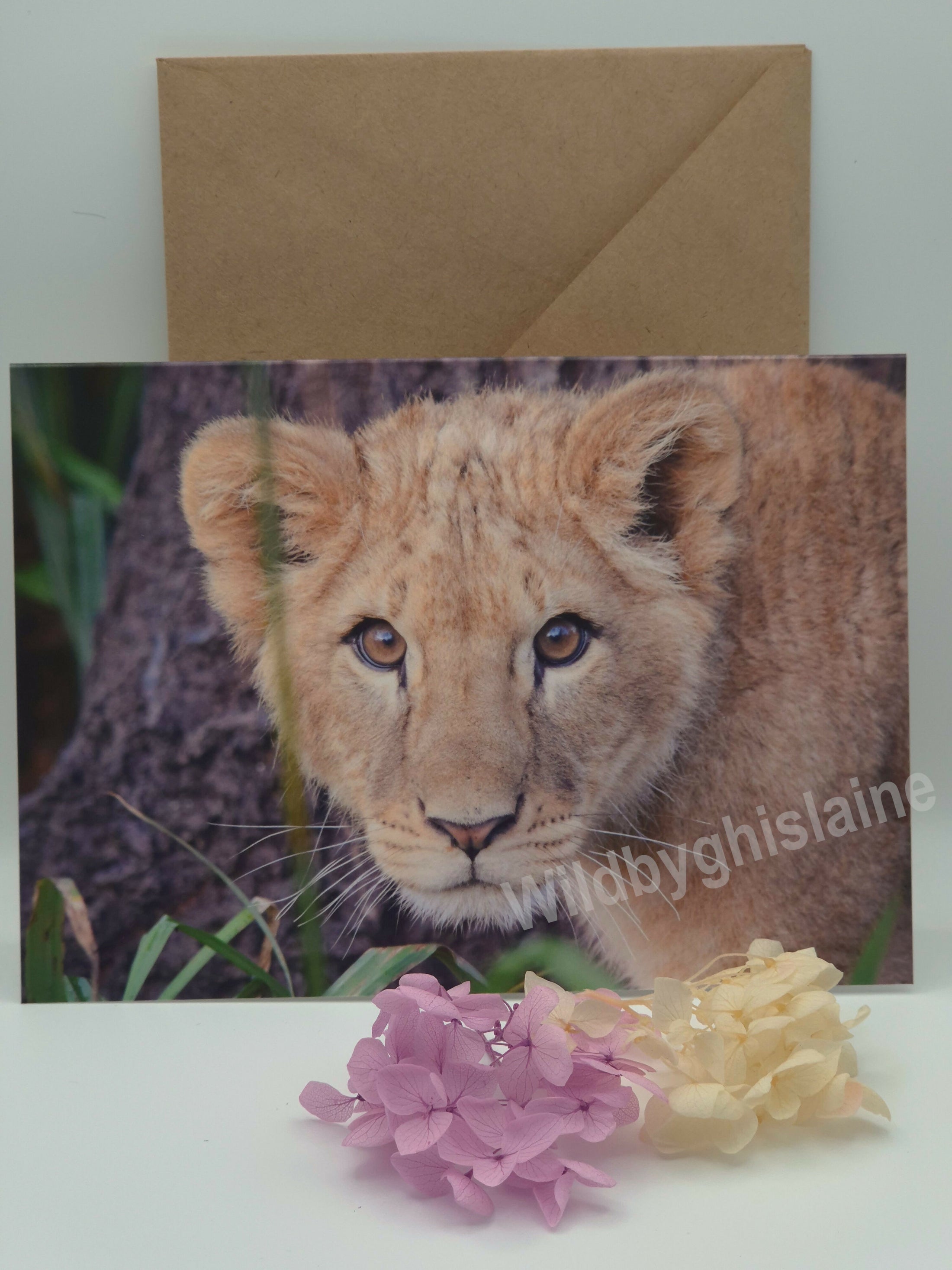 Majestic Lion Greeting Cards