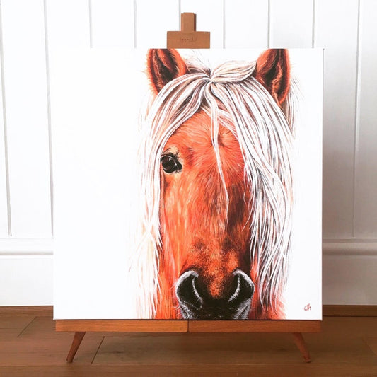 Dartmoor Pony - limited edition giclée canvas print