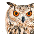 Load image into Gallery viewer, Eagle Owl - limited edition giclée canvas print
