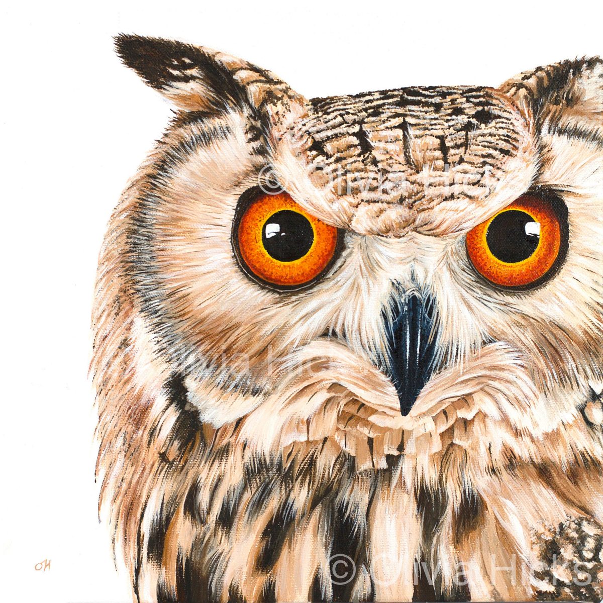Eagle Owl - limited edition giclée canvas print