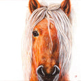 Load image into Gallery viewer, Dartmoor Pony - limited edition giclée canvas print

