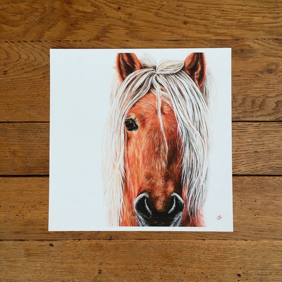 Dartmoor Pony fine art giclée print