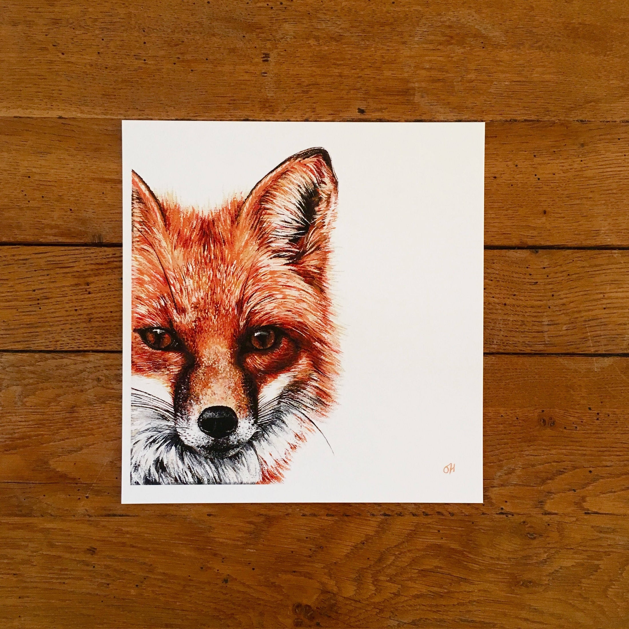 Fox fine art giclée print