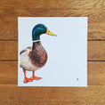 Load image into Gallery viewer, Mallard duck fine art giclée print
