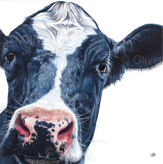 Holstein-Friesian Cow - limited edition giclée canvas print