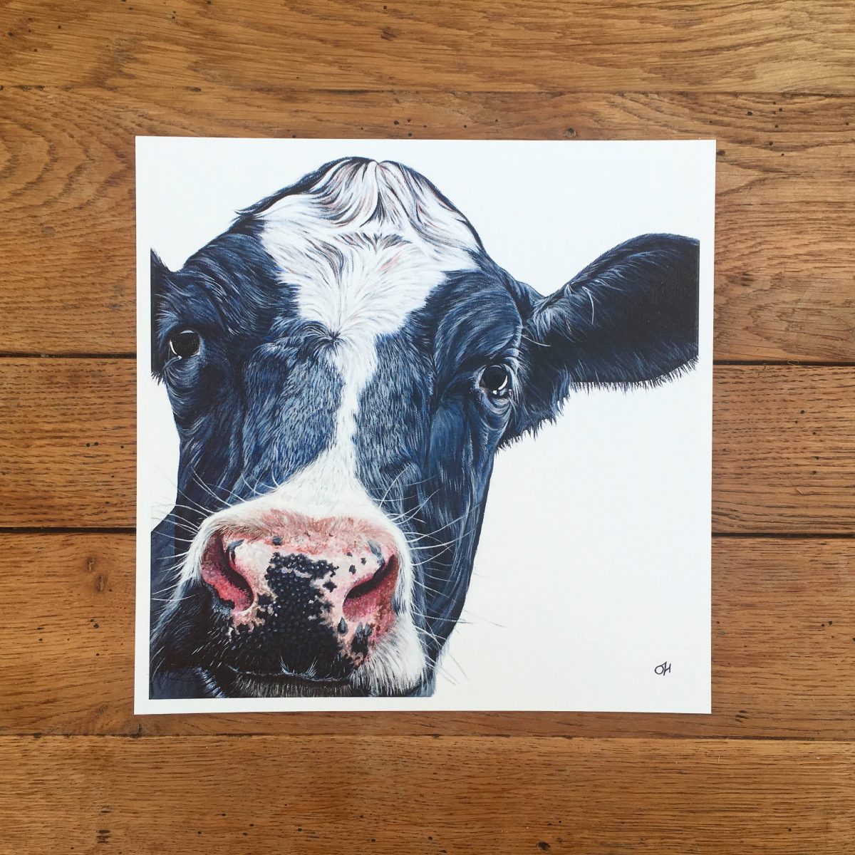 Holstein-Friesian Cow fine art giclée print