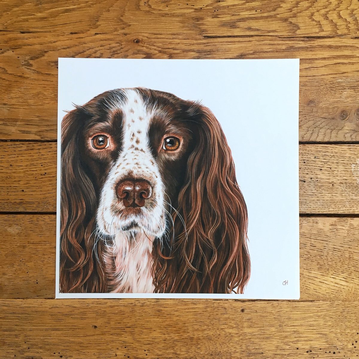 Springer Spaniel fine art giclée print