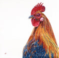 Load image into Gallery viewer, Cockerel - limited edition giclée canvas print
