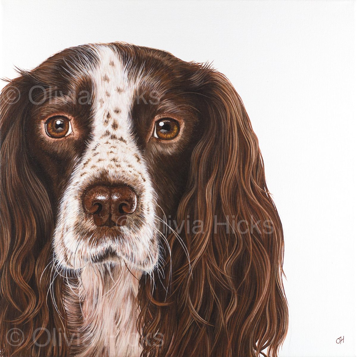 Springer Spaniel fine art giclée print