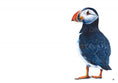 Load image into Gallery viewer, Puffin fine art giclée print
