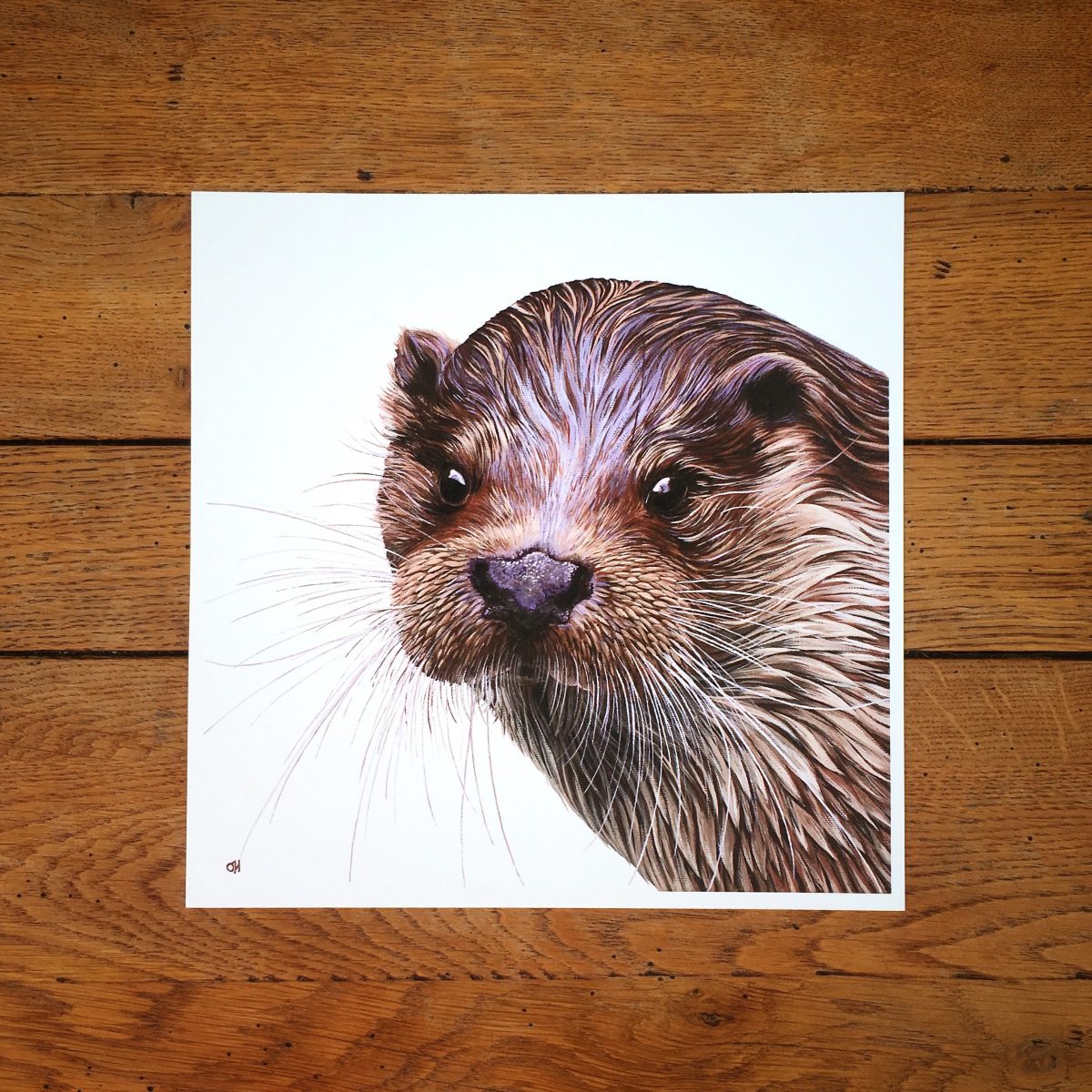 Otter fine art giclée print