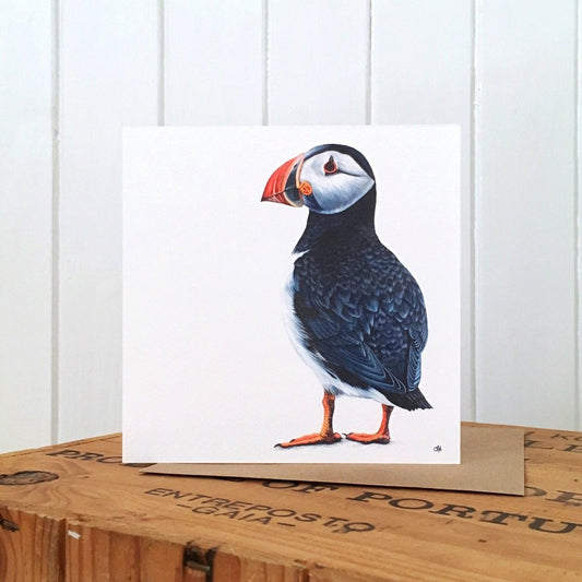 Puffin Greetings Card