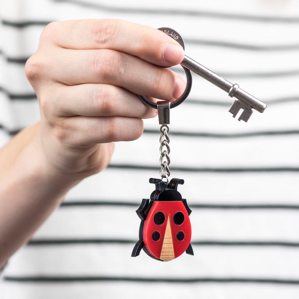 Ladybird Keyring, Ladybug Key Chain, Insect Key Ring Charm, Lady Bird Gift, Laser Cut Acrylic, Gift for Her, Black & Red, Birthday Gift