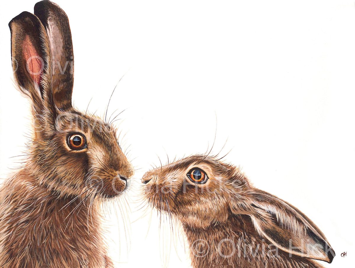 Kissing Hares - limited edition giclée canvas print