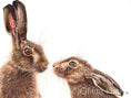 Load image into Gallery viewer, Kissing Hares - limited edition giclée canvas print

