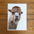 Load image into Gallery viewer, Alpaca fine art giclée print
