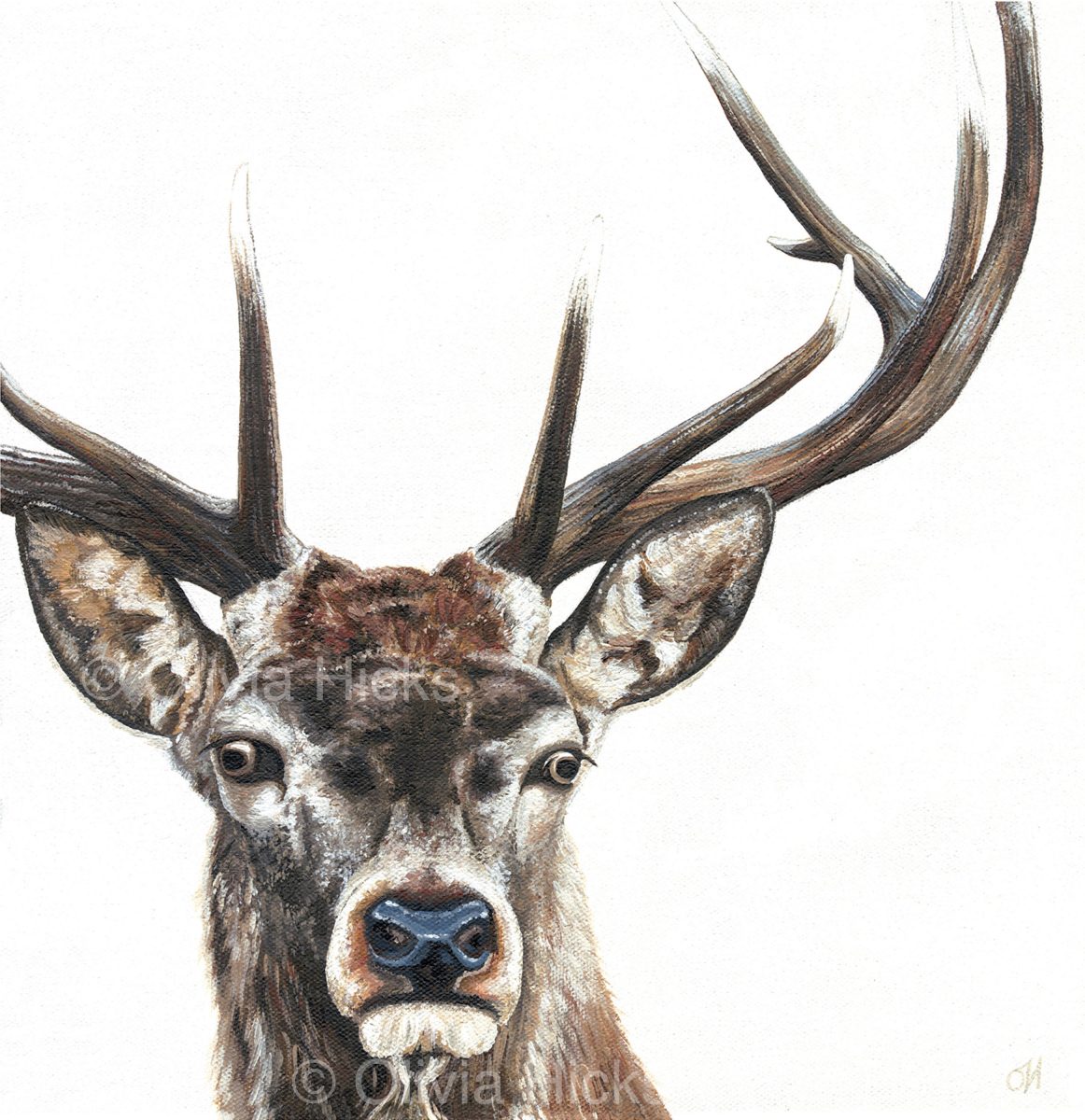 Stag - limited edition giclée canvas print
