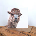 Load image into Gallery viewer, Alpaca Greetings Card
