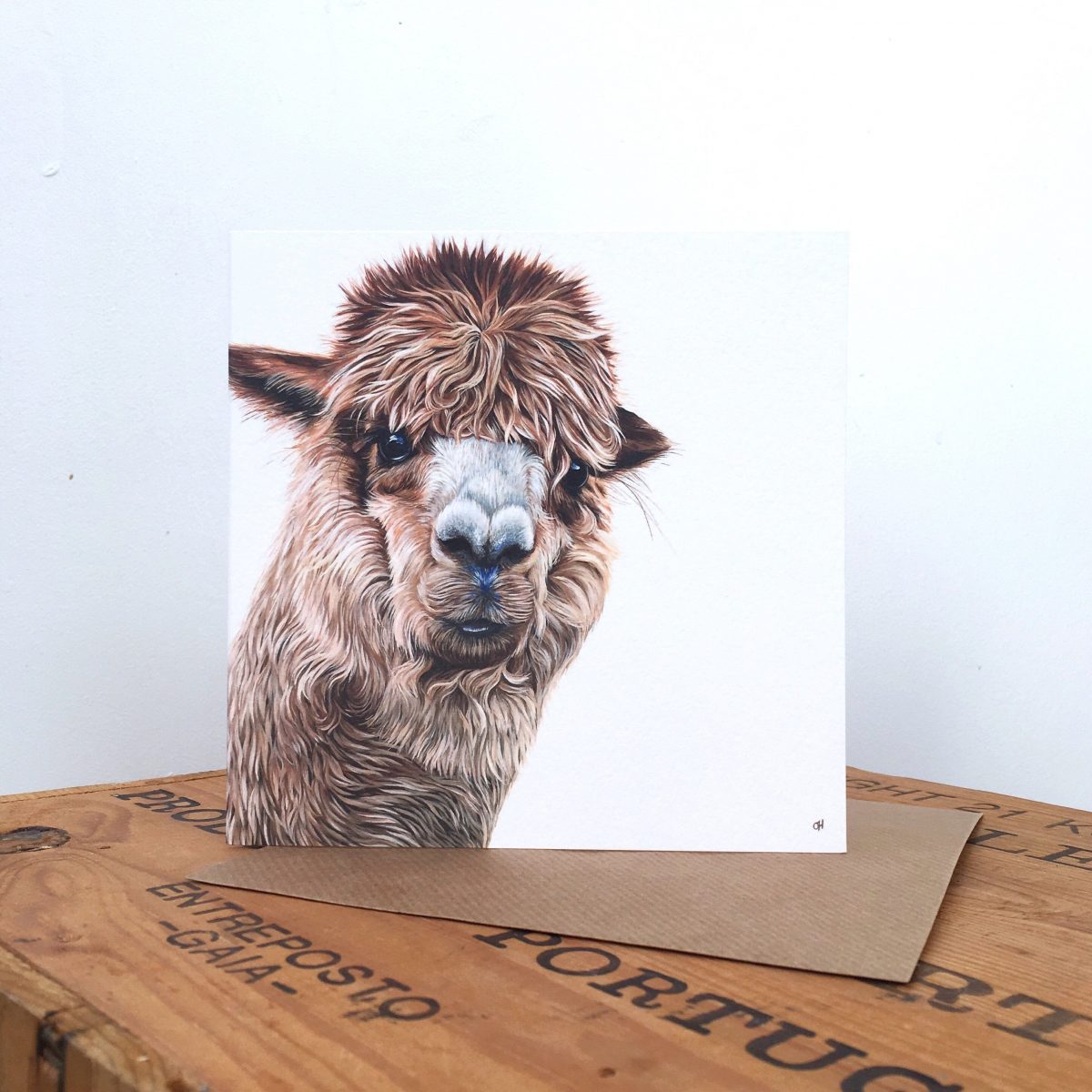 Alpaca Greetings Card