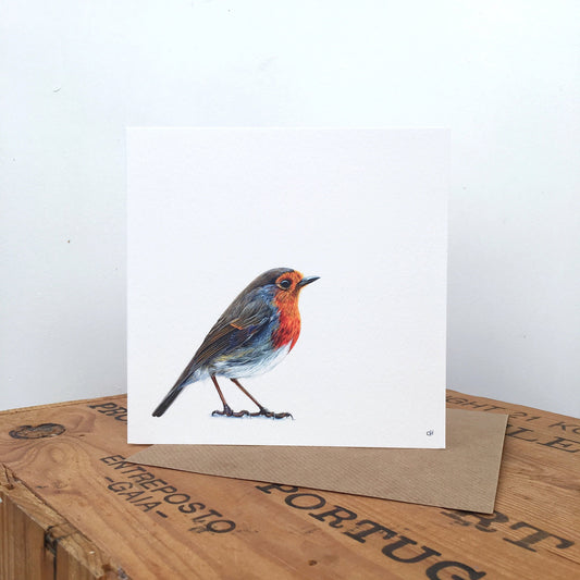 Robin Greetings Card