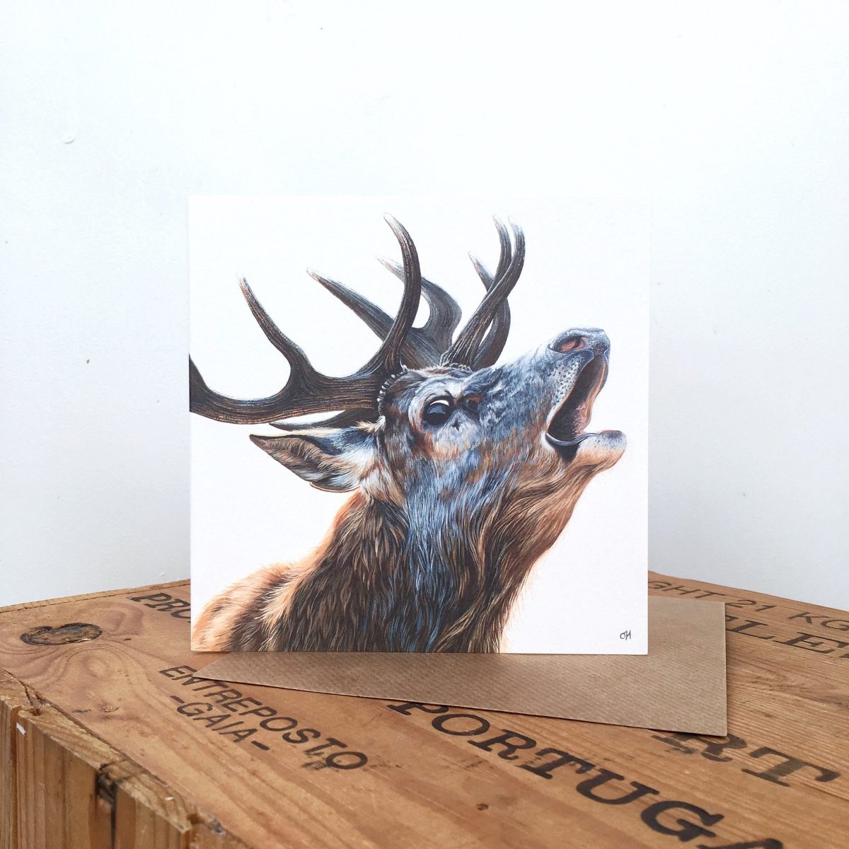 Bellowing Stag Greetings Card