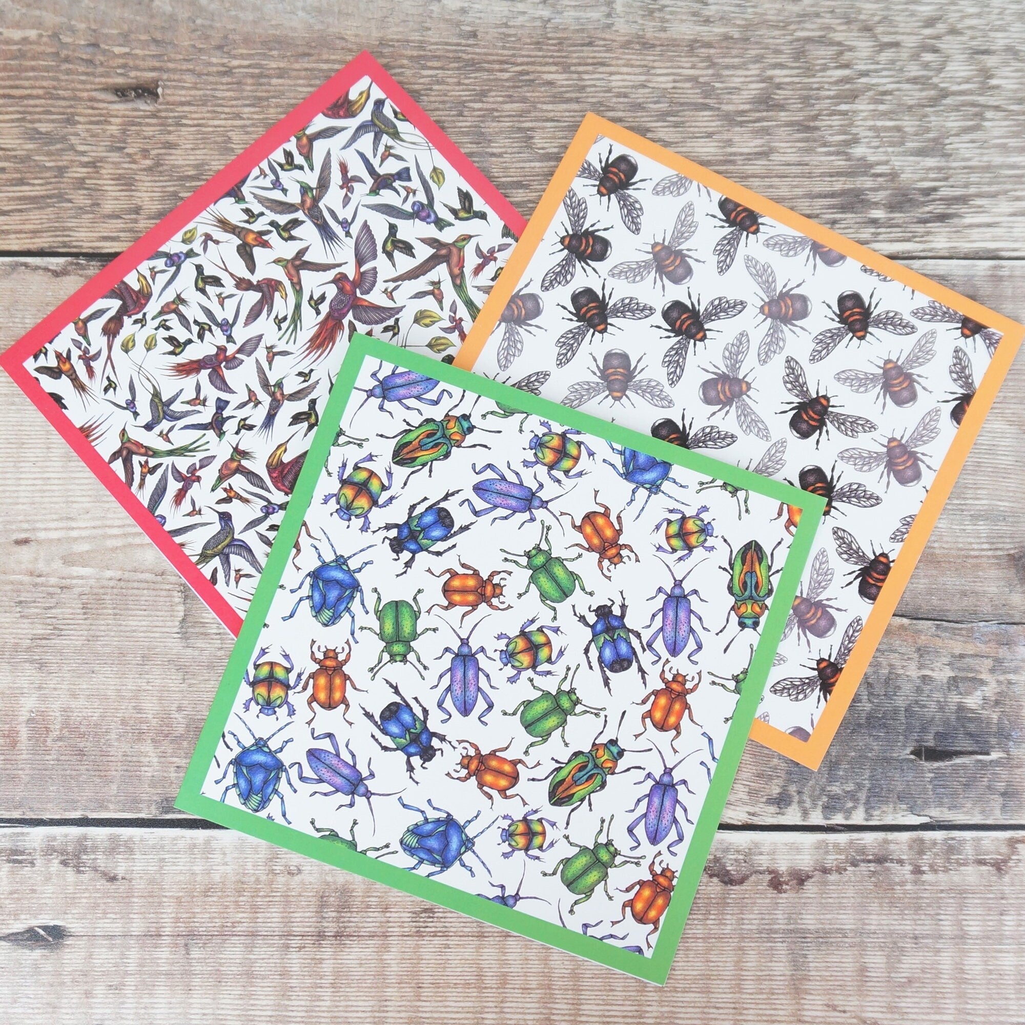 Beetle Bug Illustrated Blank Greetings Card By Jessica Irena Smith