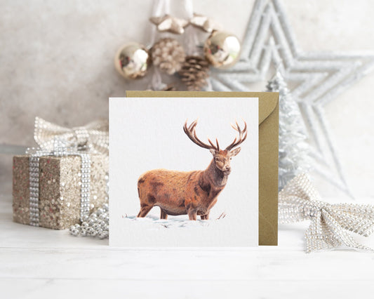 Winter Stag Card: Luxury Christmas Wildlife Greetings Card