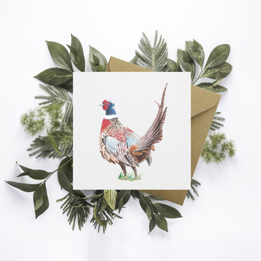 Pheasant Greetings Card: Original Colour Pencil Art, Blank Inside, Any Occasion, Birthday, Father's Day