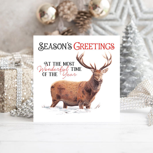 Stag Season's Greetings Card: Original Coloured Pencil Art