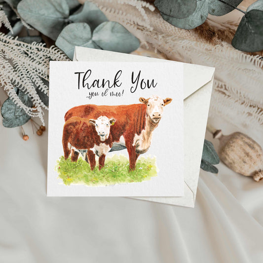 Funny Cow Thank You Card: Hereford Calf Watercolour Art