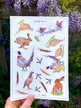 Load image into Gallery viewer, Country Game Sticker Sheet: Eco-Friendly A5 Journal Stickers, Scrapbook, Biodegradable
