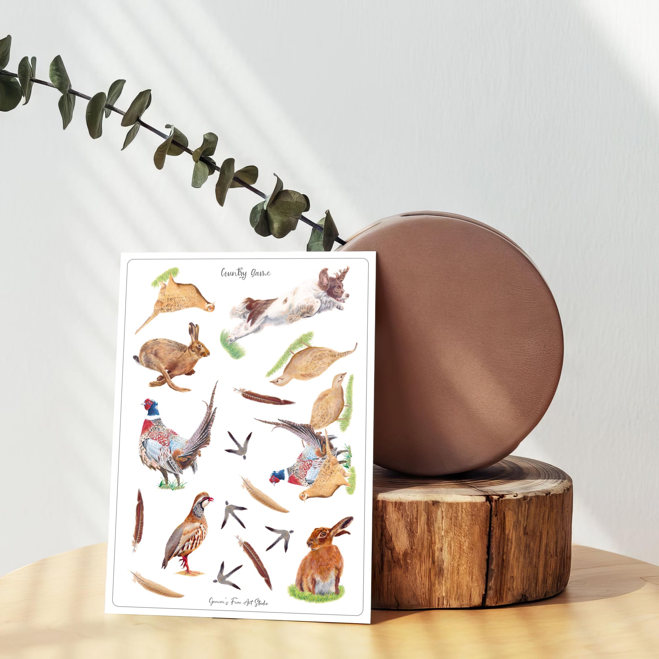 Country Game Sticker Sheet: Eco-Friendly A5 Journal Stickers, Scrapbook, Biodegradable