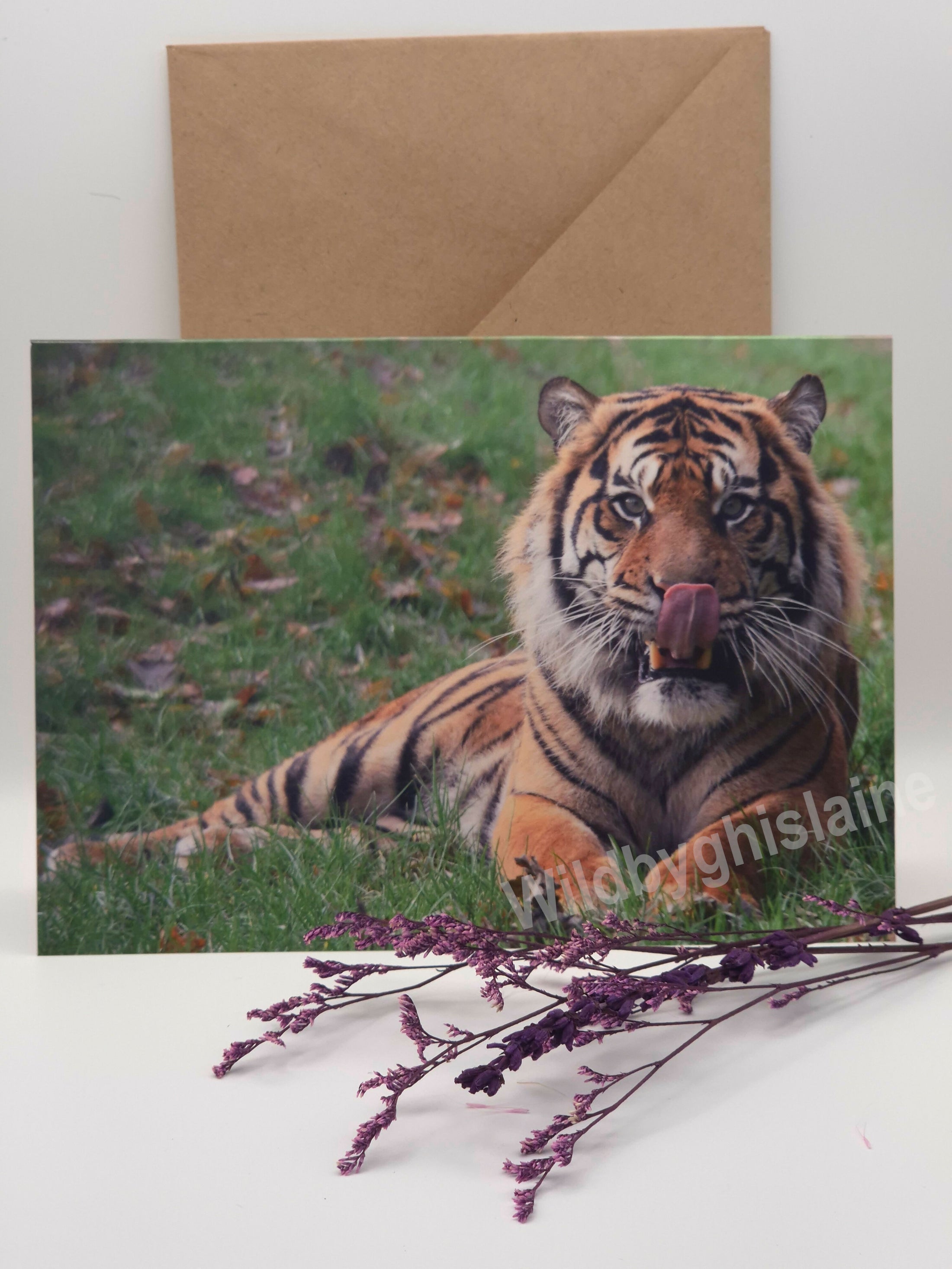 Majestic Sumatran Tiger Greeting Cards