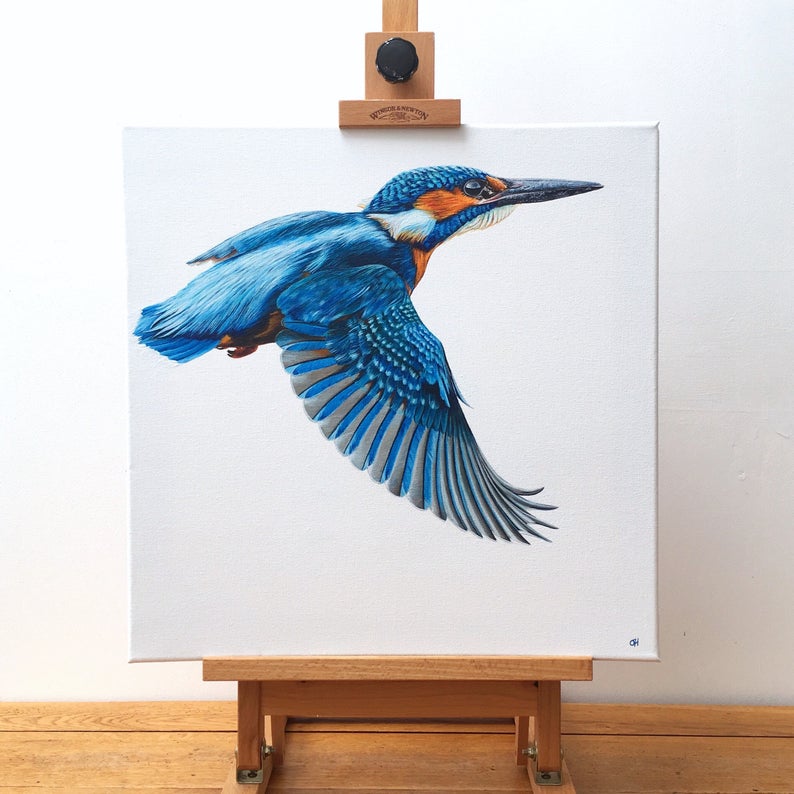 Kingfisher - limited edition giclée canvas print