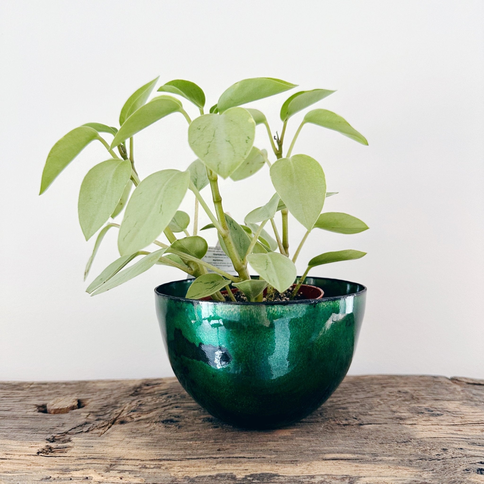 Large Emerald Green Enamel Bowl - MaisyPlum