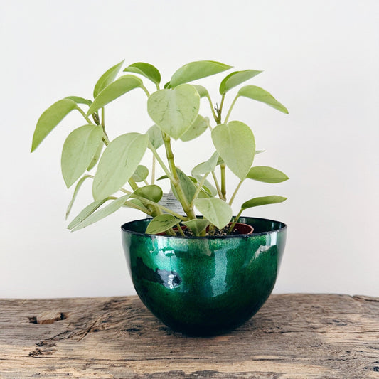 Large Emerald Green Enamel Bowl - MaisyPlum