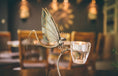 Load image into Gallery viewer, Mayfly Candle Holder
