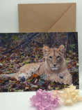 Load image into Gallery viewer, Majestic Lion Greeting Cards
