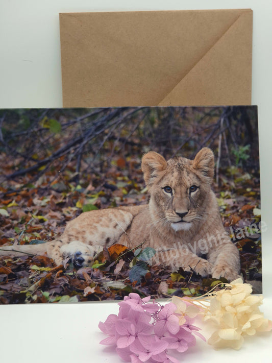 Majestic Lion Greeting Cards