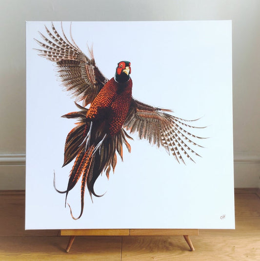 Flushed Pheasant - limited edition giclée canvas print