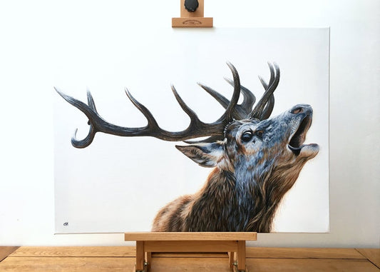 Bellowing Stag - limited edition giclée canvas print