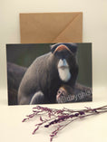 Load image into Gallery viewer, Wild Animal Greeting Cards
