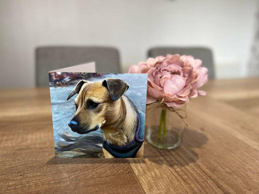 Patterdale terrier card front