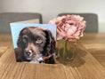Load image into Gallery viewer, Springer spaniel card front
