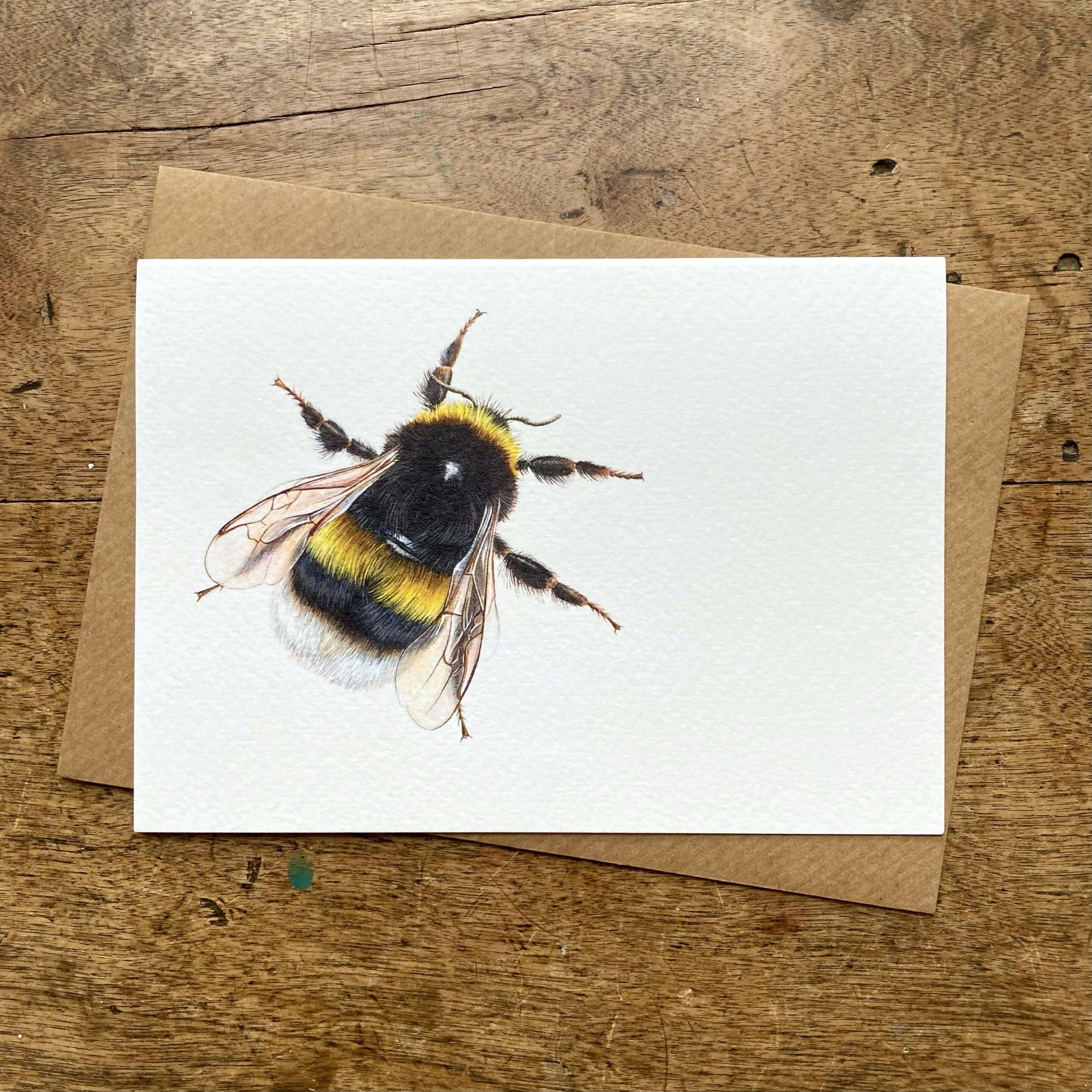 Bumblebee A6